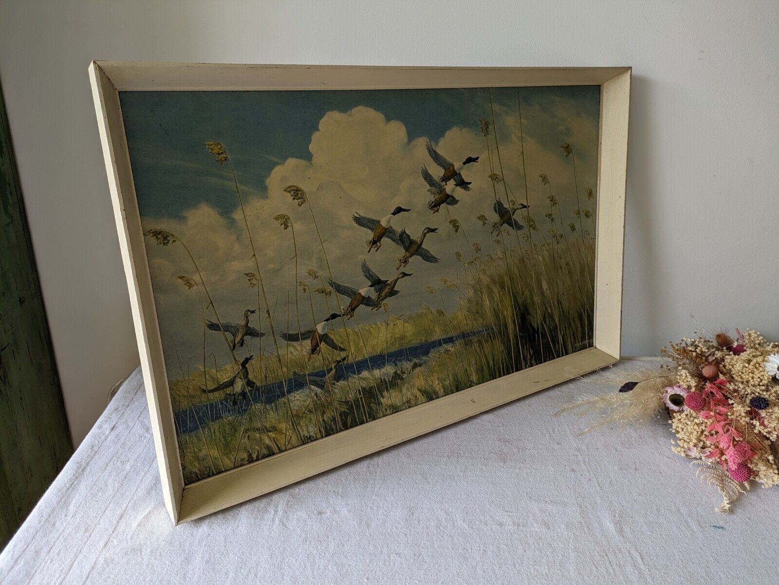 Peter Scott Vintage Framed Print Ducks Taking To Wing 1934 Old Picture Bird Lrg