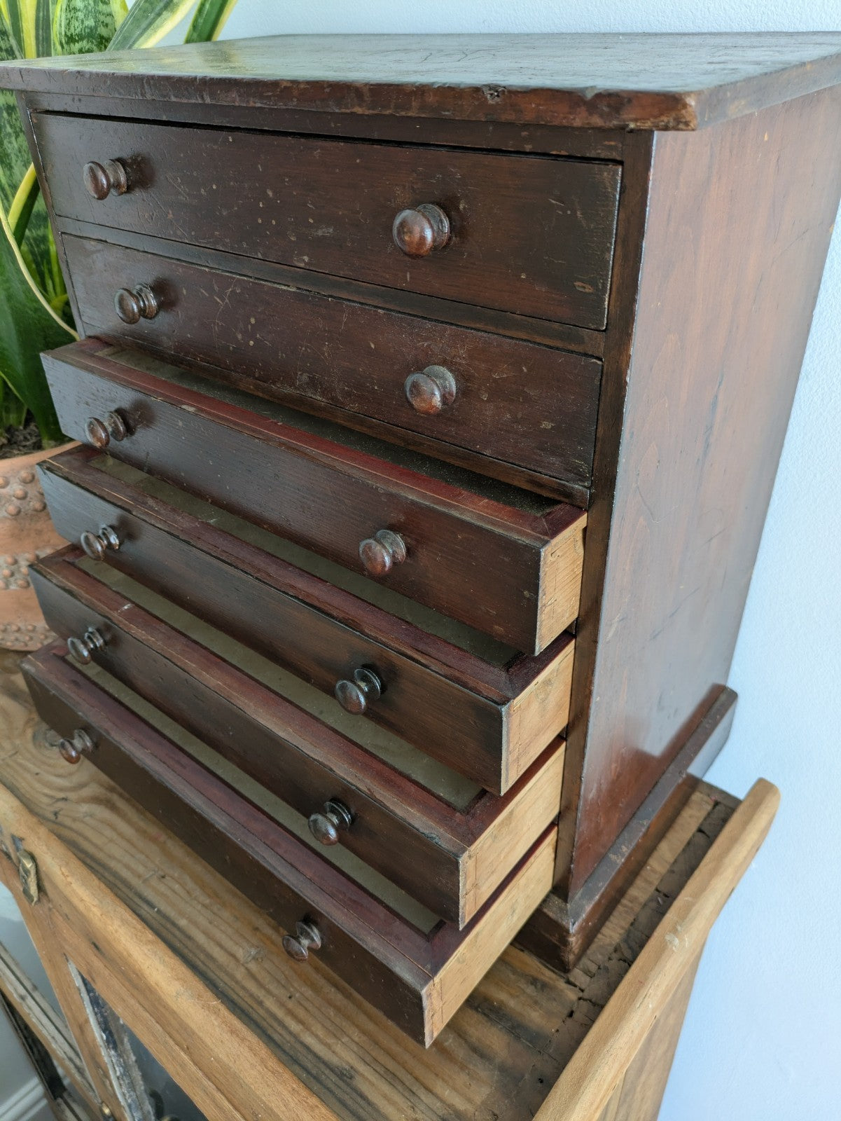 Antique 19th Century Specimen Display Cabinet Bank of Drawers Museum Display Vgc
