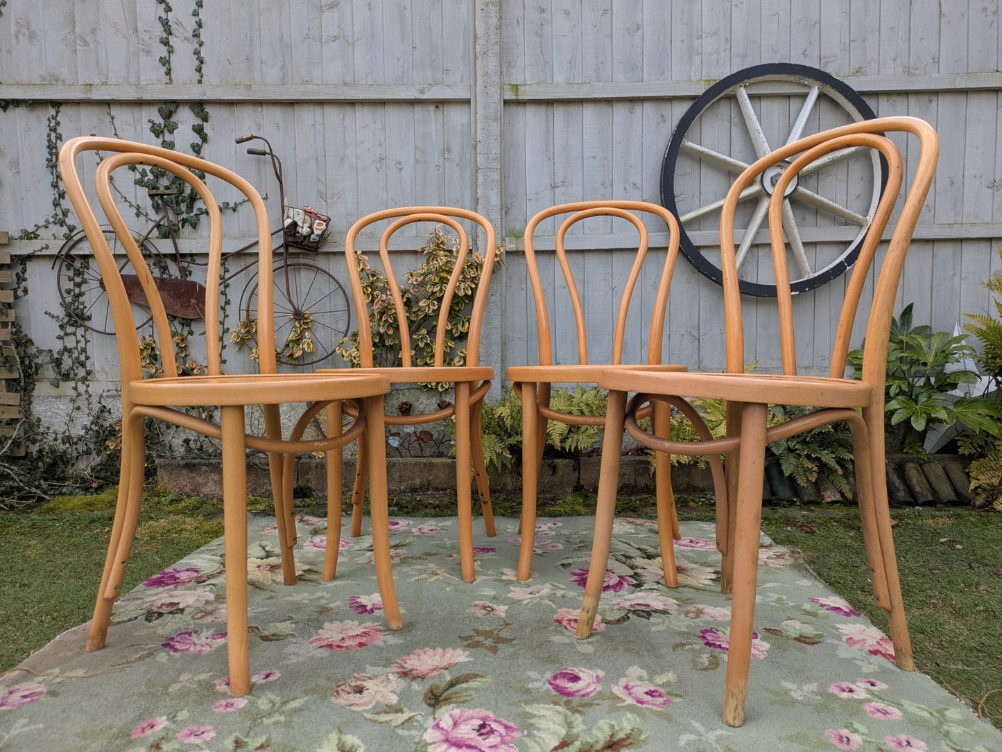 Set of 4 Vintage Fameg Radomsko Bentwood Chairs 1970s Polish Design Beech Wood