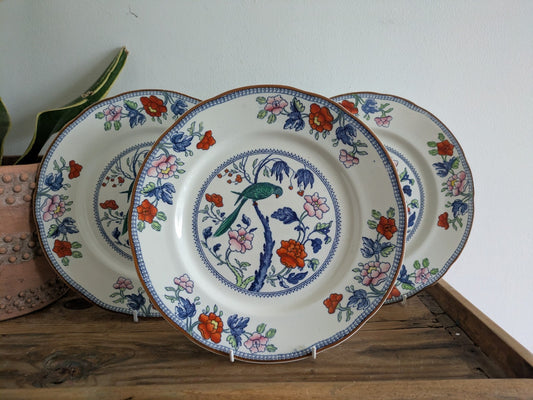 3x Booth's 1920's Silicon China Dinner Plate Green Parrot Design 26.8cm Diameter