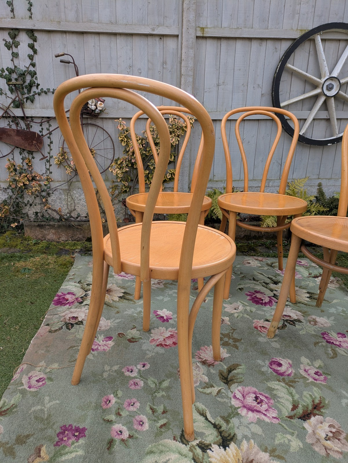 Set of 4 Vintage Fameg Radomsko Bentwood Chairs 1970s Polish Design Beech Wood
