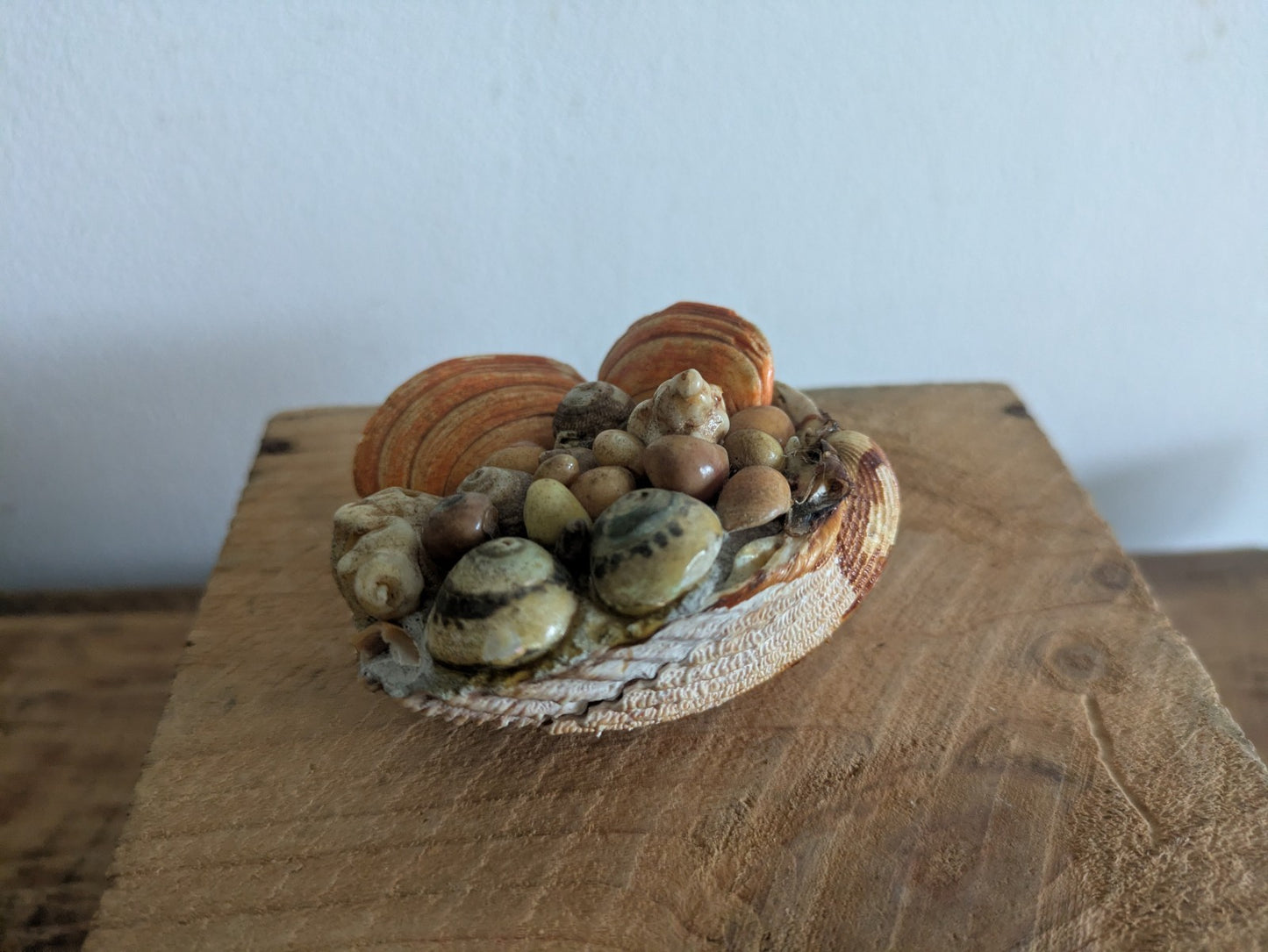 Mid Century Hand Crafted Sea Shell Folk Art Figurine Vintage Ornament Nautical 