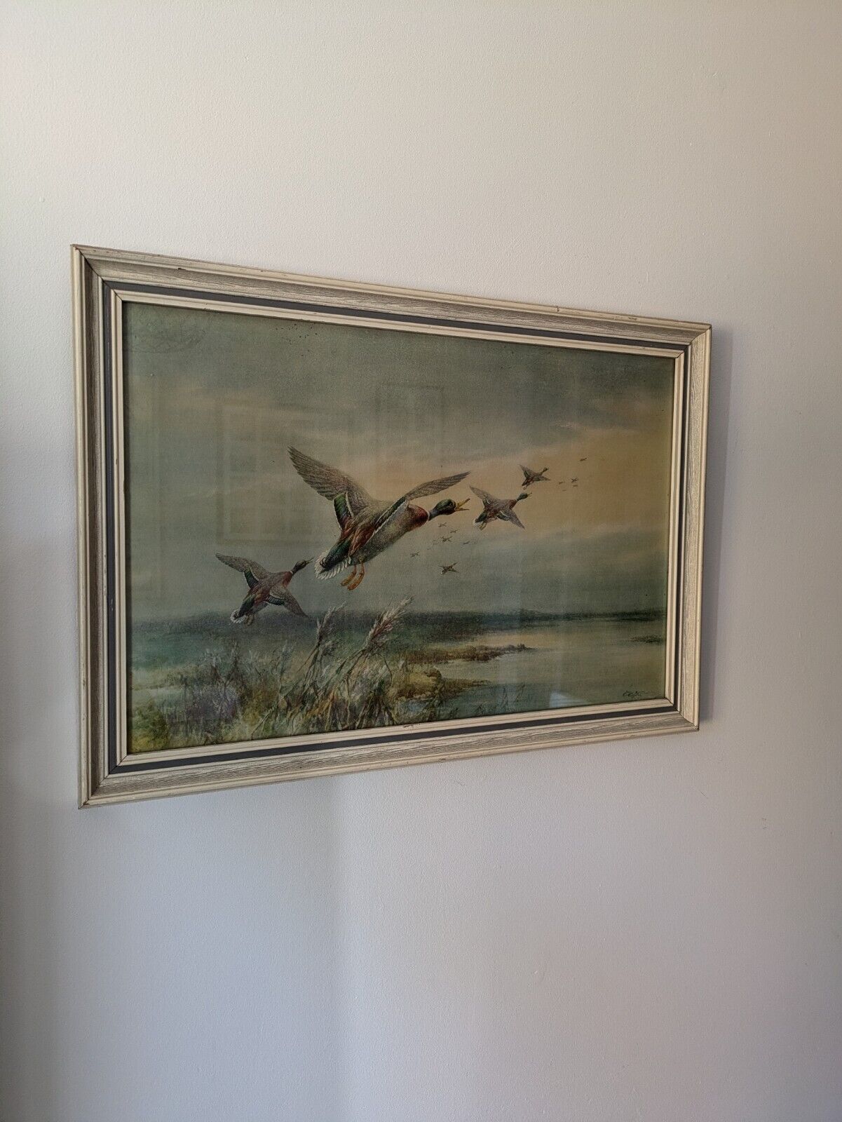 VTG W E Powell Framed Print Ducks Over The Salt Flats Picture Bird Rare Flying 