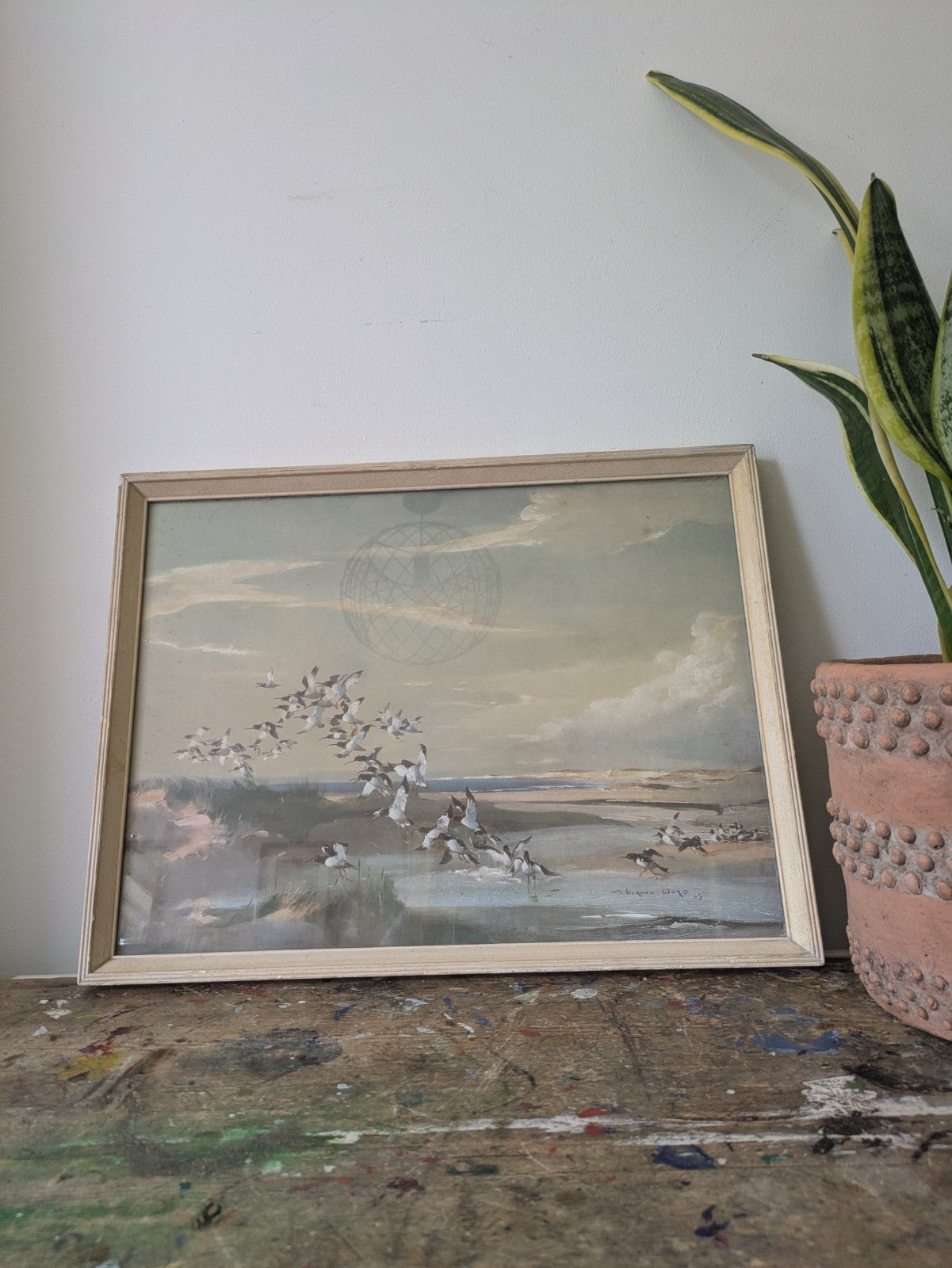 1940s Mid Century Print, FRIGHTENED OYSTER CATCHERS Vernon Ward Birds Flying Vgc