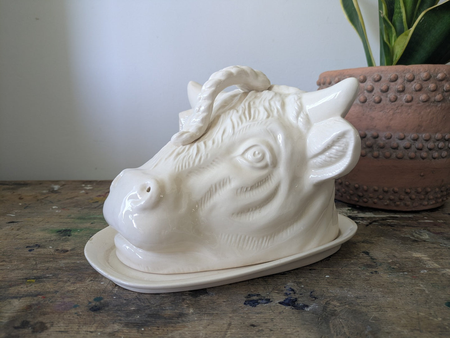 Rare Bull Head Cheese Dish Cloche With Plate Vintage Antique Cream Ceramic Old 