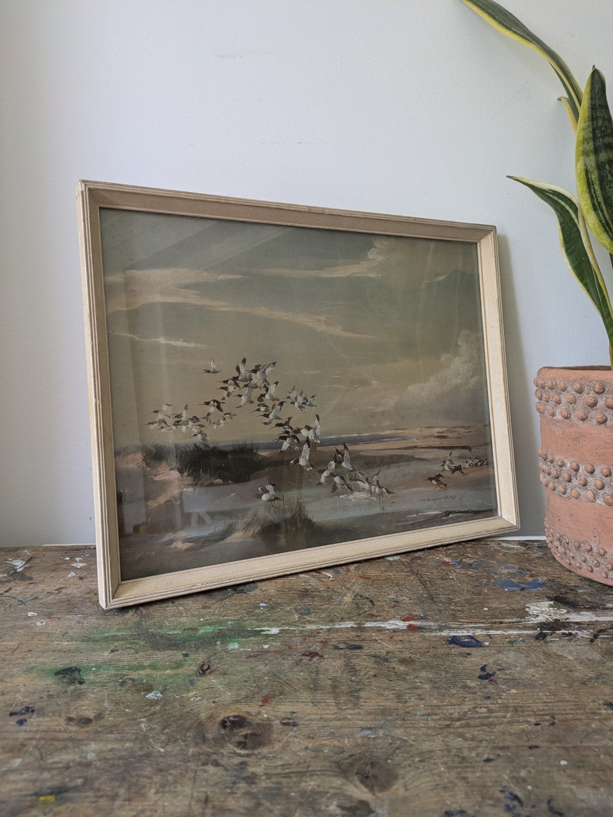 1940s Mid Century Print, FRIGHTENED OYSTER CATCHERS Vernon Ward Birds Flying Vgc