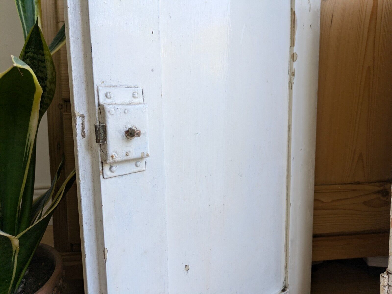 Pair Old Original Antique Victorian Period Cupboard Doors panels chippy paint!!!