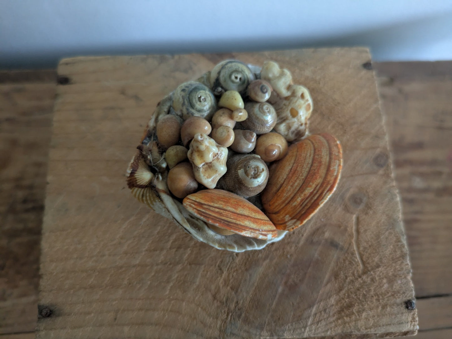 Mid Century Hand Crafted Sea Shell Folk Art Figurine Vintage Ornament Nautical 