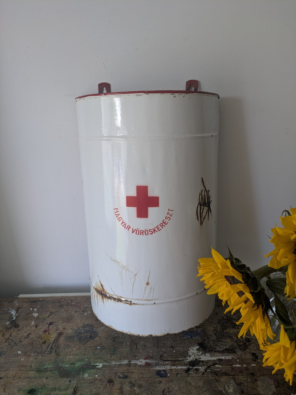 Vintage Iron Enamel Medicine Container Collectible Disinfectant Prop Bathroom