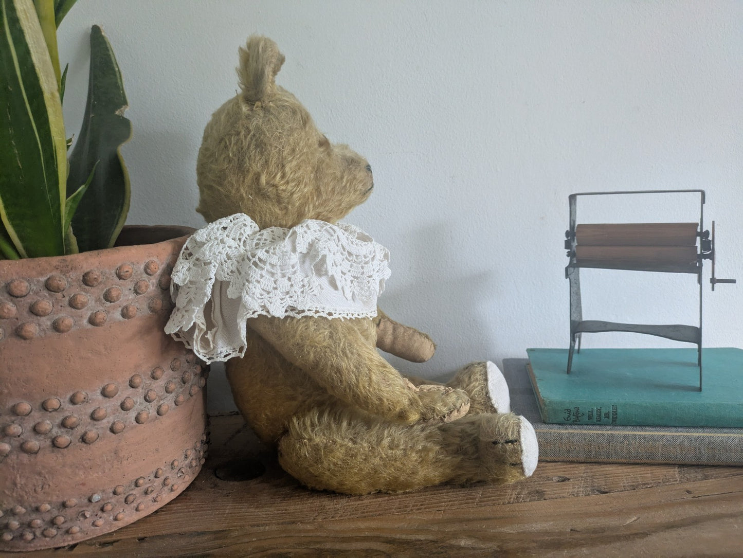 Antique Old Vintage Mohair Germany Bear 1930s Growler 40cmH Toy Teddy Bear Prop