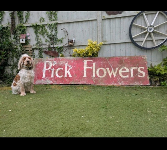 Pick Flowers Vintage Metal Sign Red 8ft Florist Shop Advertising Decor Prop Old