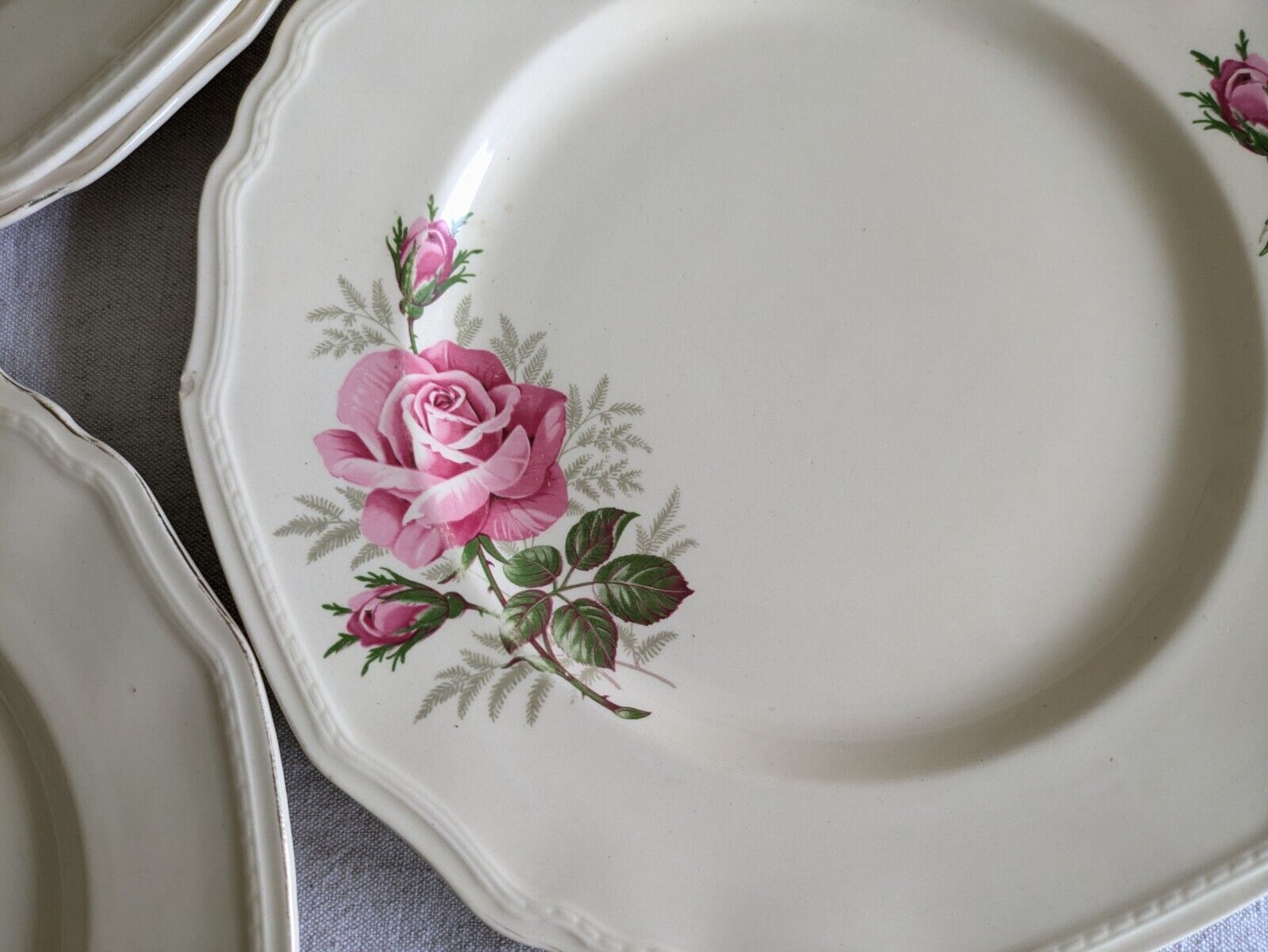 6x VINTAGE ALFRED MEAKIN SANDRINGHAM CABBAGE ROSE DINNER PLATE UP CREAM SHABBY 