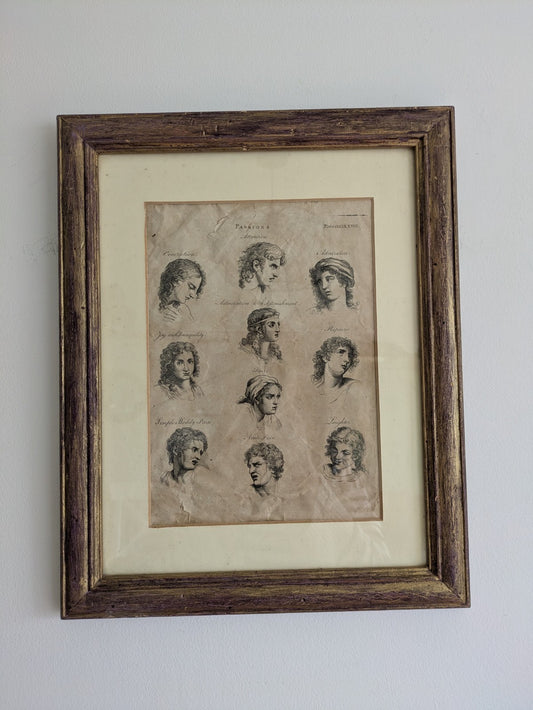 Antique Original Print Plate HUMAN PASSIONS EXPRESSIONS VTG Framed Desire Joy