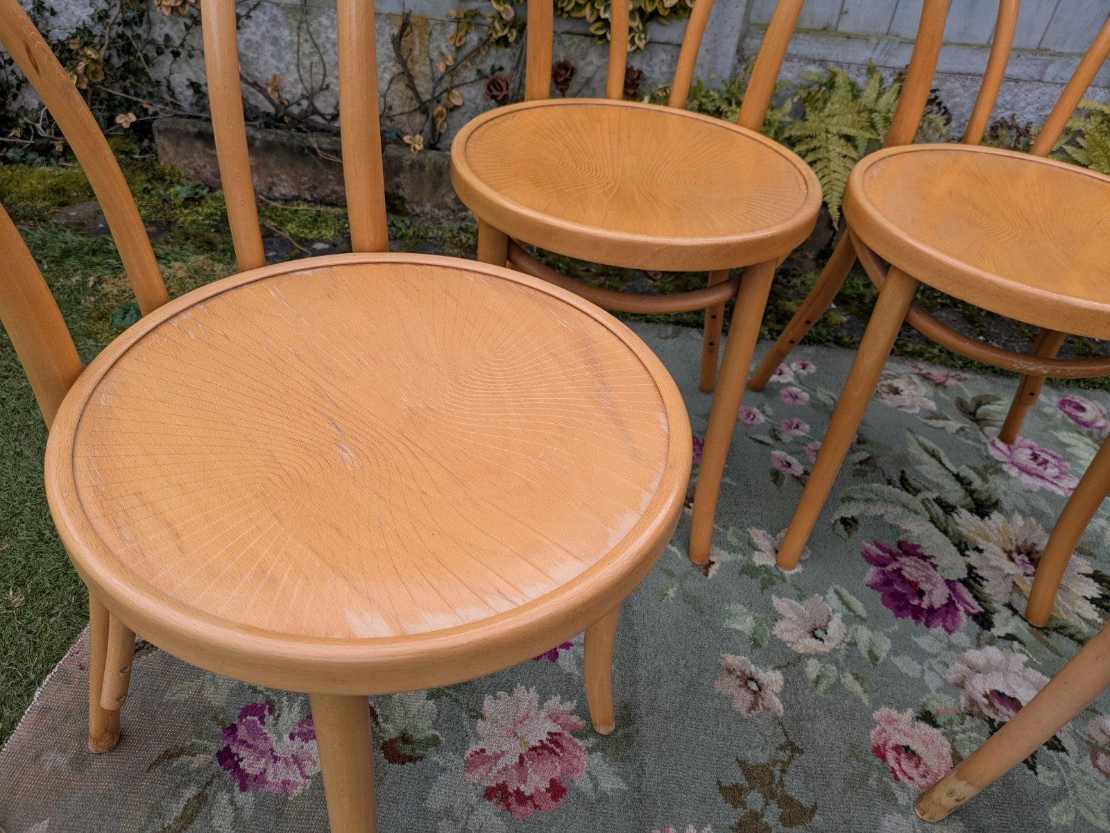 Set of 4 Vintage Fameg Radomsko Bentwood Chairs 1970s Polish Design Beech Wood