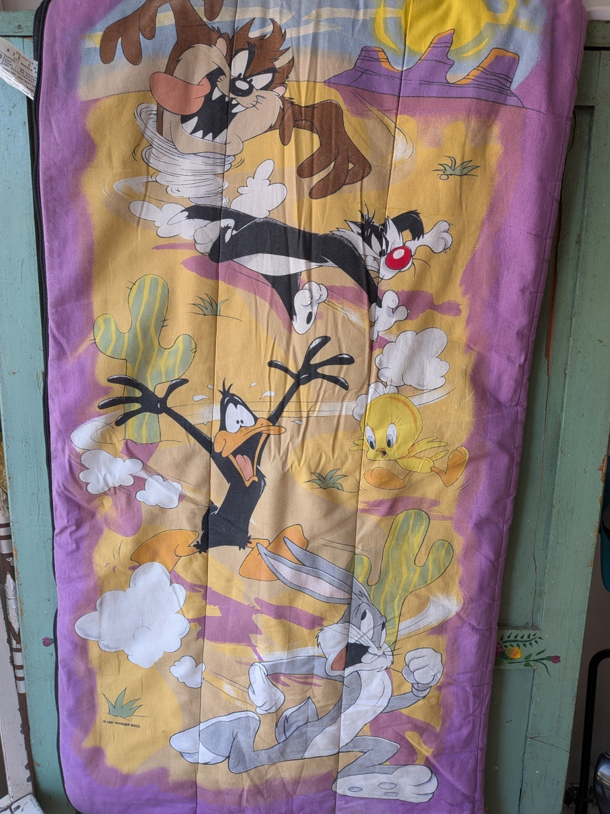 Child’s Looney Tunes Sleeping Bag Vintage Retro Taz Tweedy Pie Bugs Bunny Daffy