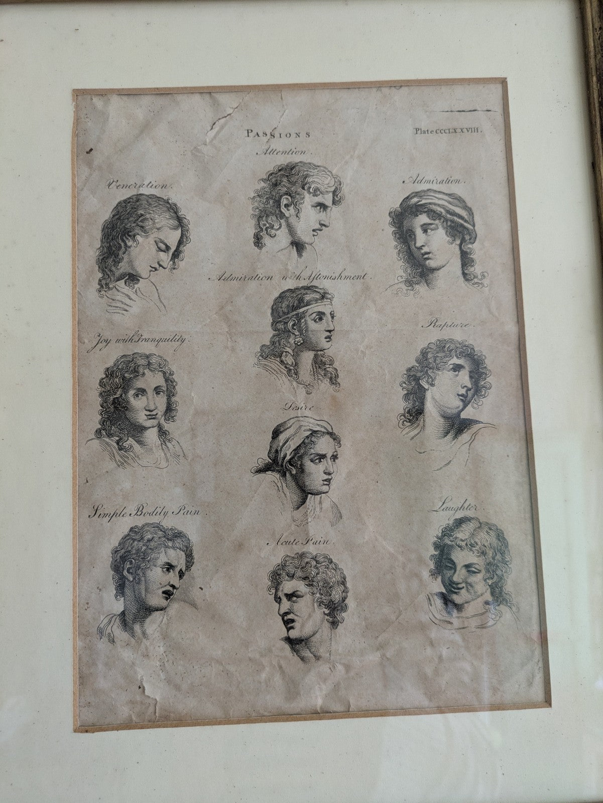 Antique Original Print Plate HUMAN PASSIONS EXPRESSIONS VTG Framed Desire Joy
