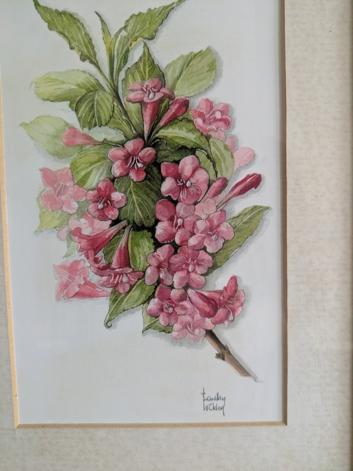 Pink Floral Dorothy Lockley Signed Print Flowers Framed Picture Vintage Pretty