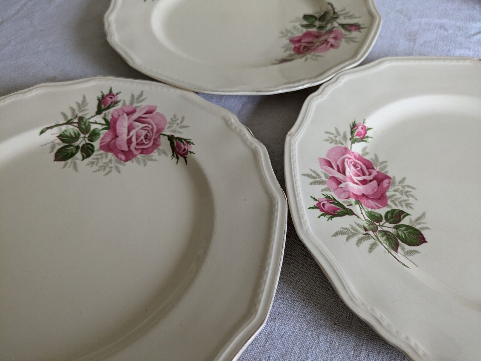 6x VINTAGE ALFRED MEAKIN SANDRINGHAM CABBAGE ROSE DINNER PLATE UP CREAM SHABBY 