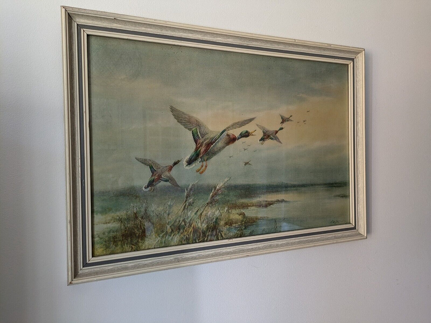 VTG W E Powell Framed Print Ducks Over The Salt Flats Picture Bird Rare Flying 