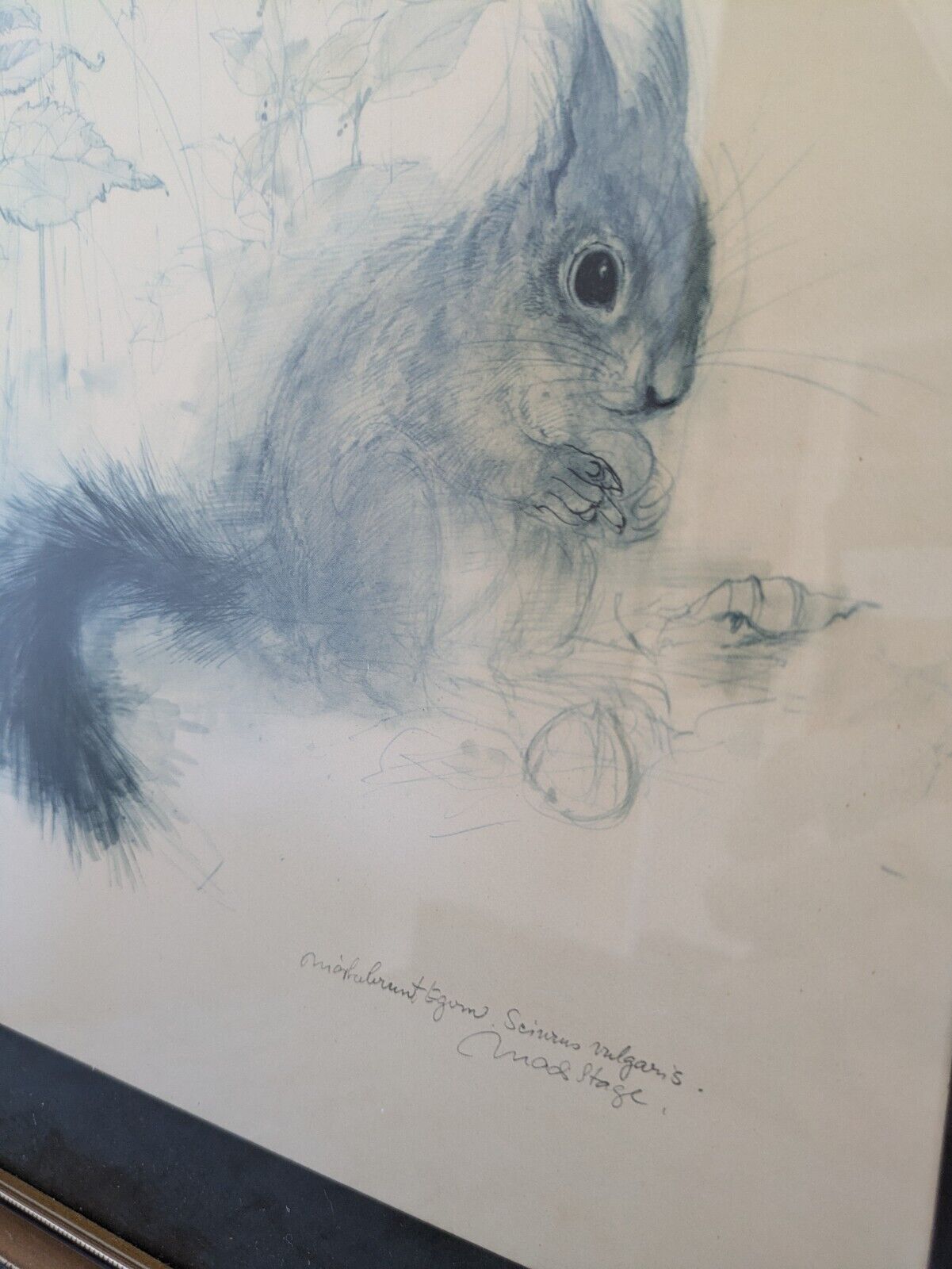 Vintage 1970's Squirrel Picture Print Mads Stage Danish Artist Retro Watercolour