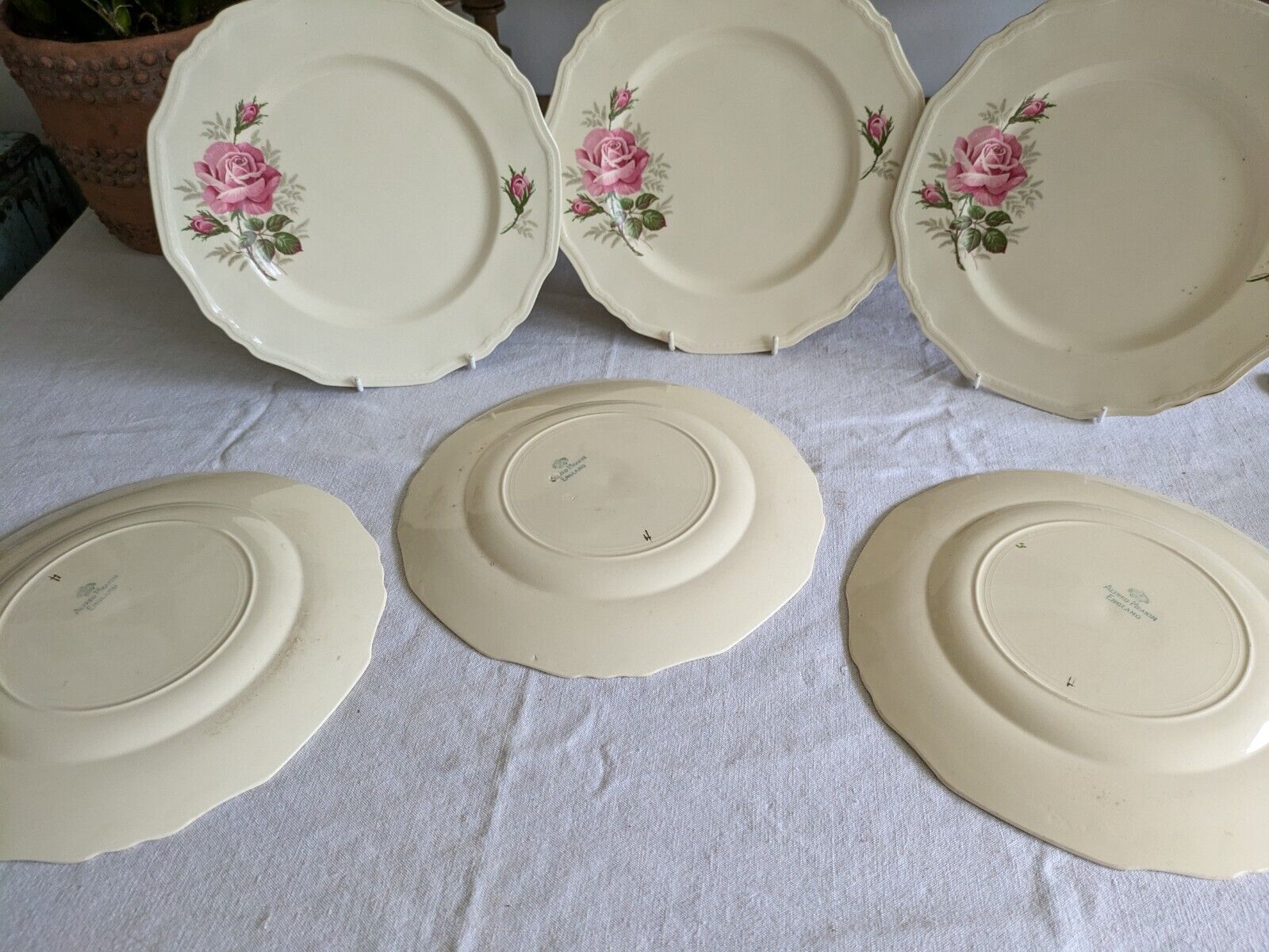 6x VINTAGE ALFRED MEAKIN SANDRINGHAM CABBAGE ROSE DINNER PLATE UP CREAM SHABBY 