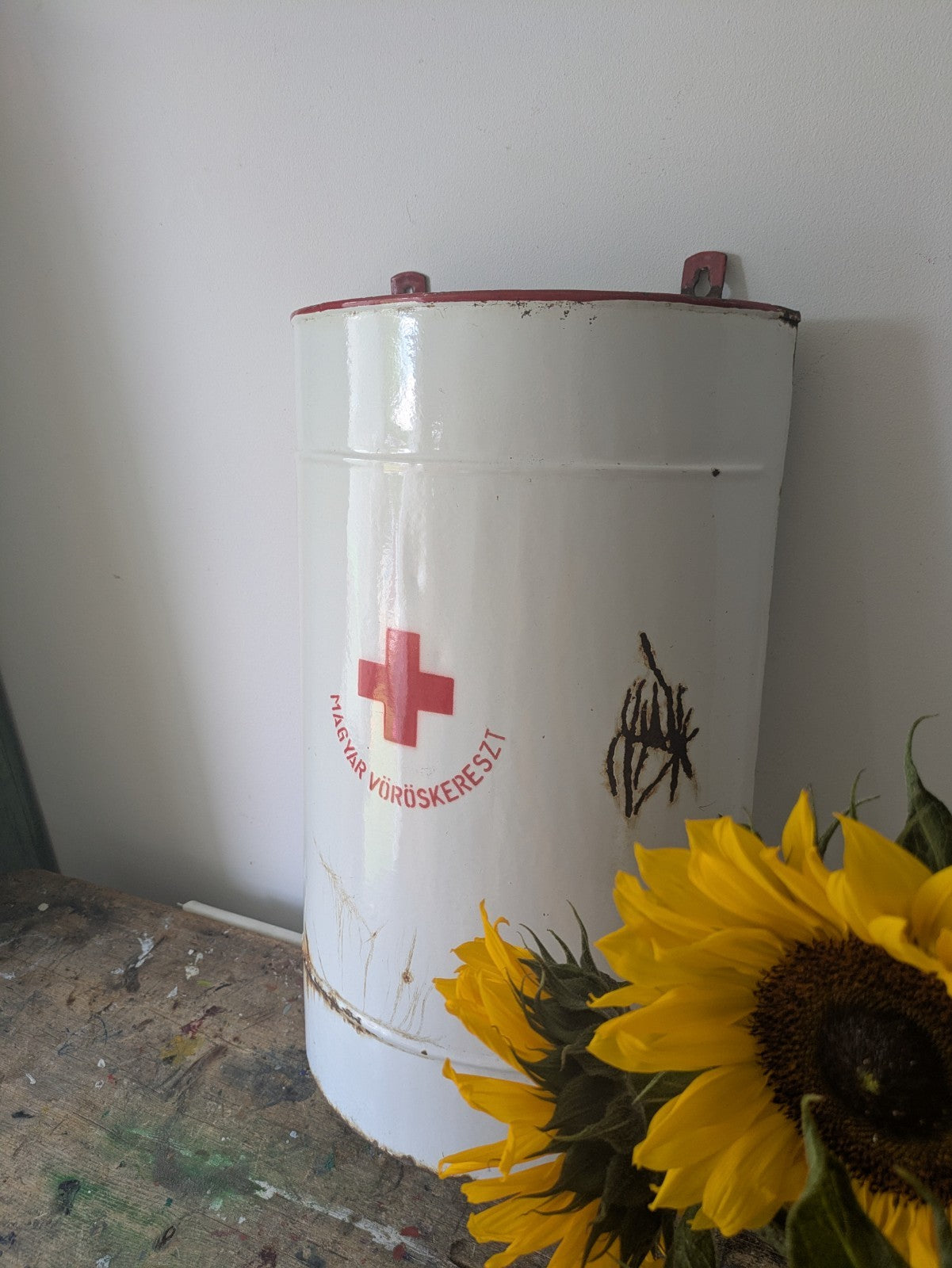 Vintage Iron Enamel Medicine Container Collectible Disinfectant Prop Bathroom
