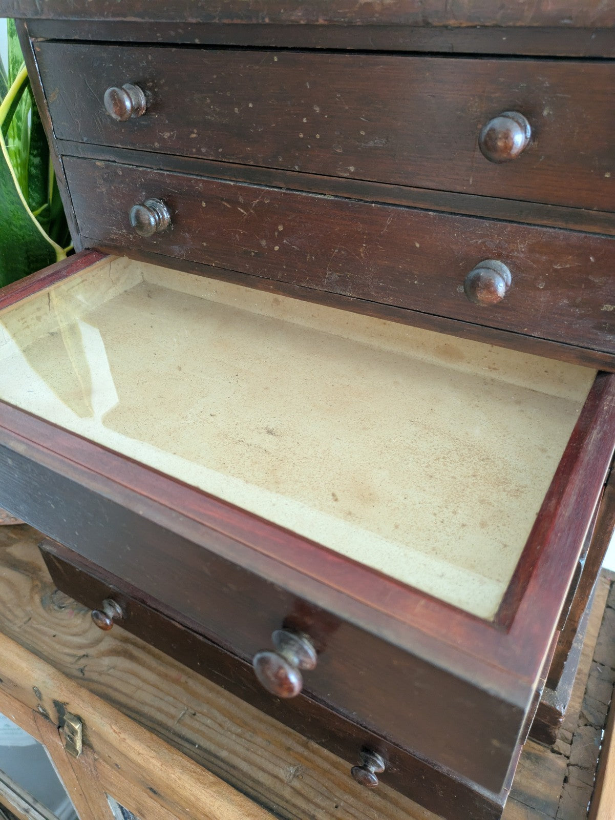 Antique 19th Century Specimen Display Cabinet Bank of Drawers Museum Display Vgc