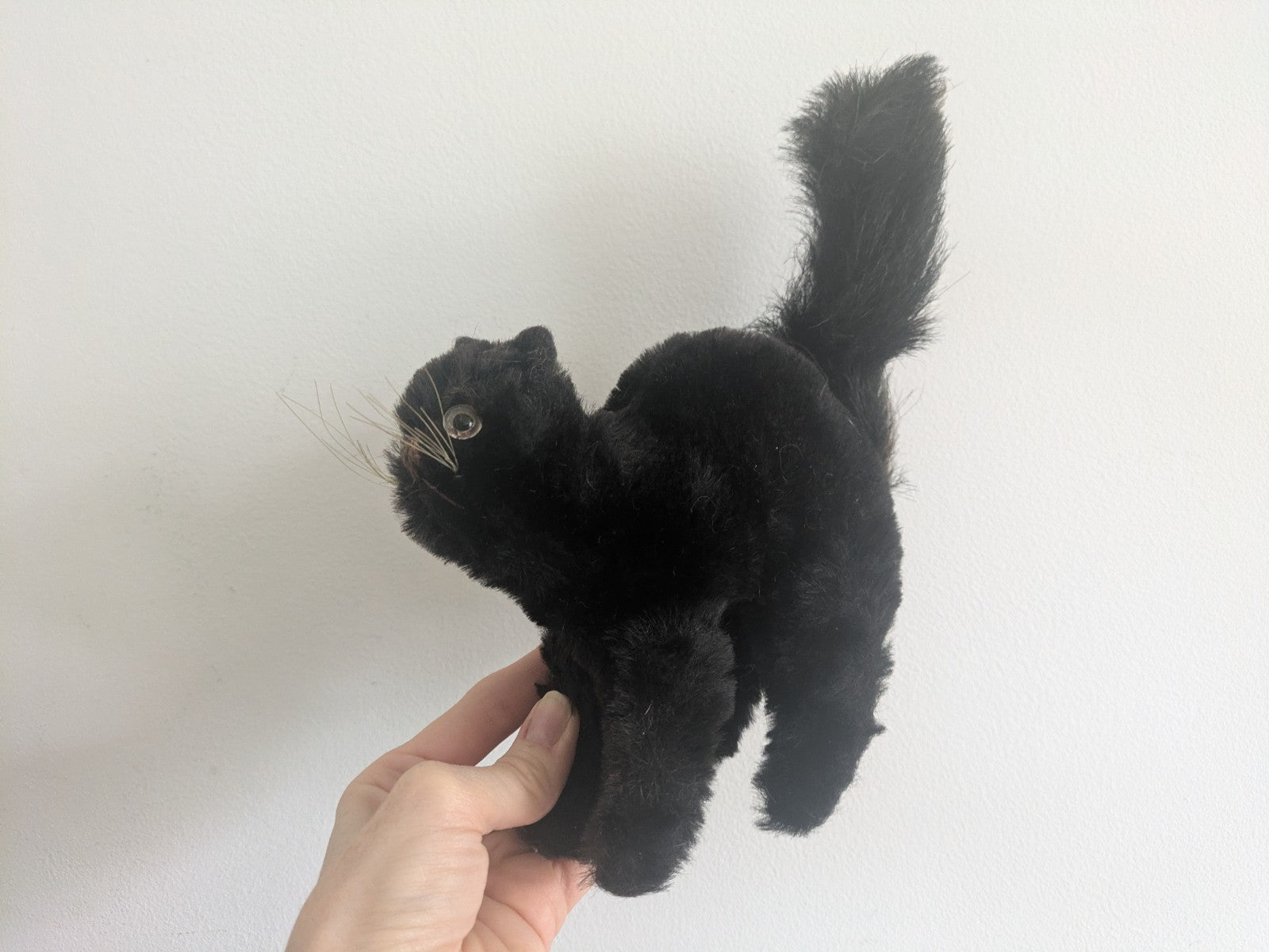 Vintage Steiff Scaredy Black Tom Cat Halloween Angry Mohair Kitten Farnell Back