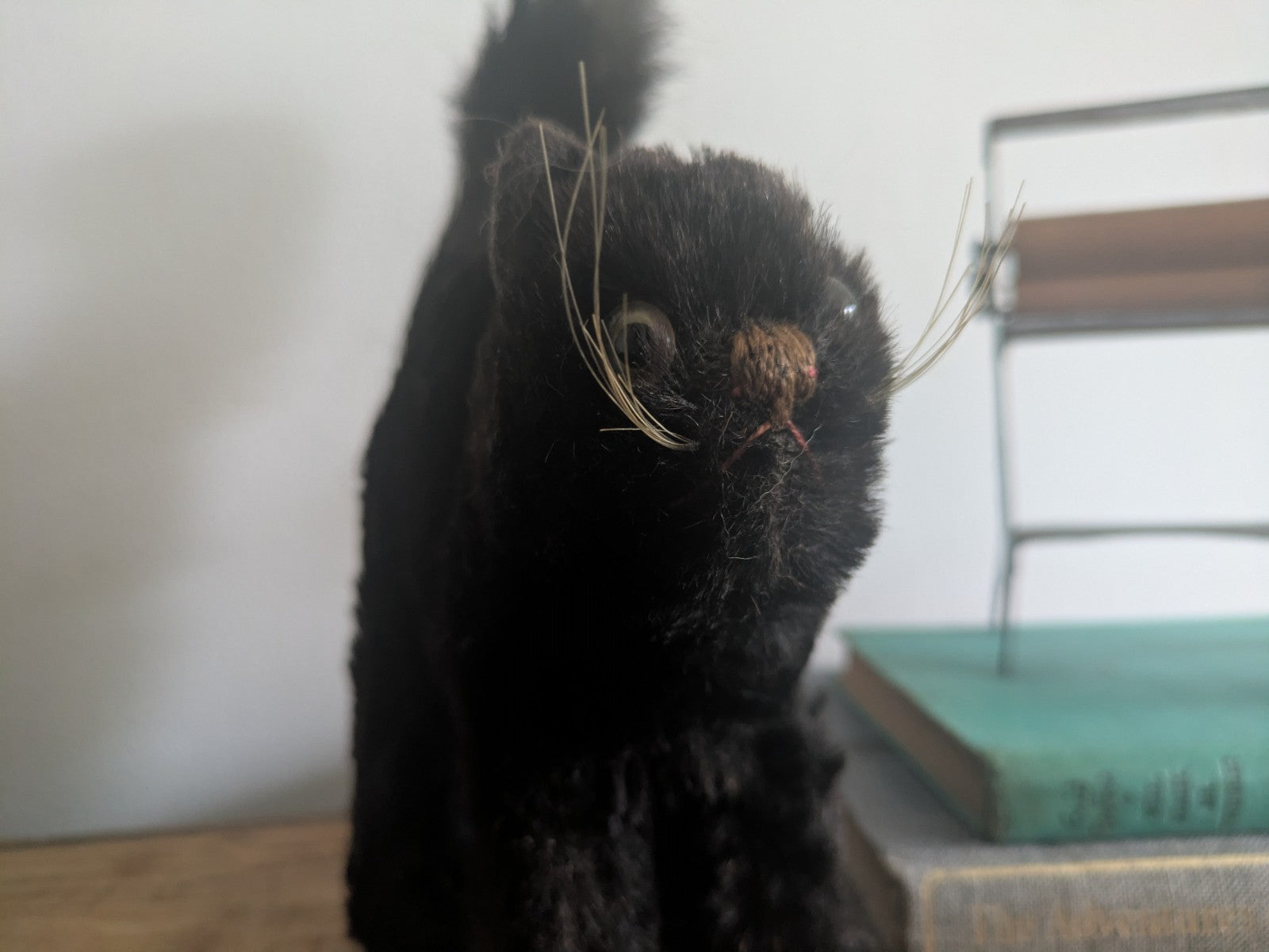 Vintage Steiff Scaredy Black Tom Cat Halloween Angry Mohair Kitten Farnell Back