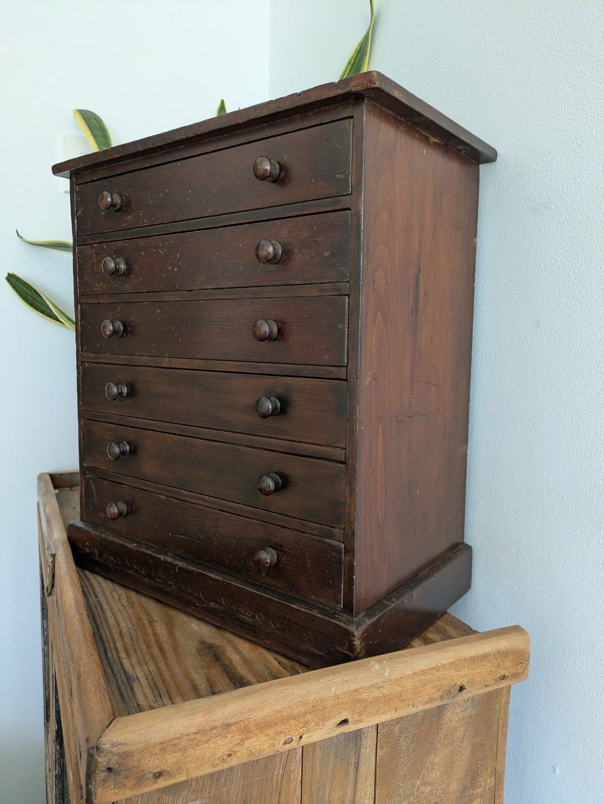 Antique 19th Century Specimen Display Cabinet Bank of Drawers Museum Display Vgc