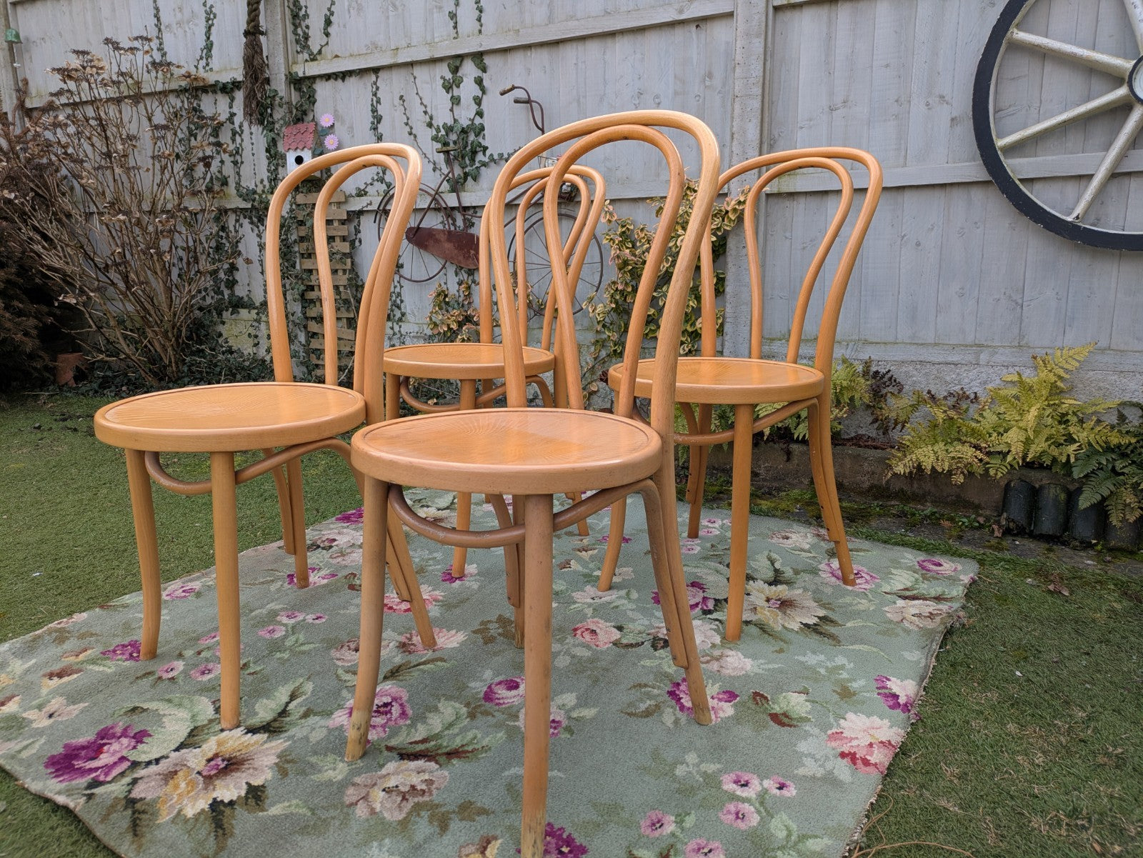 Set of 4 Vintage Fameg Radomsko Bentwood Chairs 1970s Polish Design Beech Wood