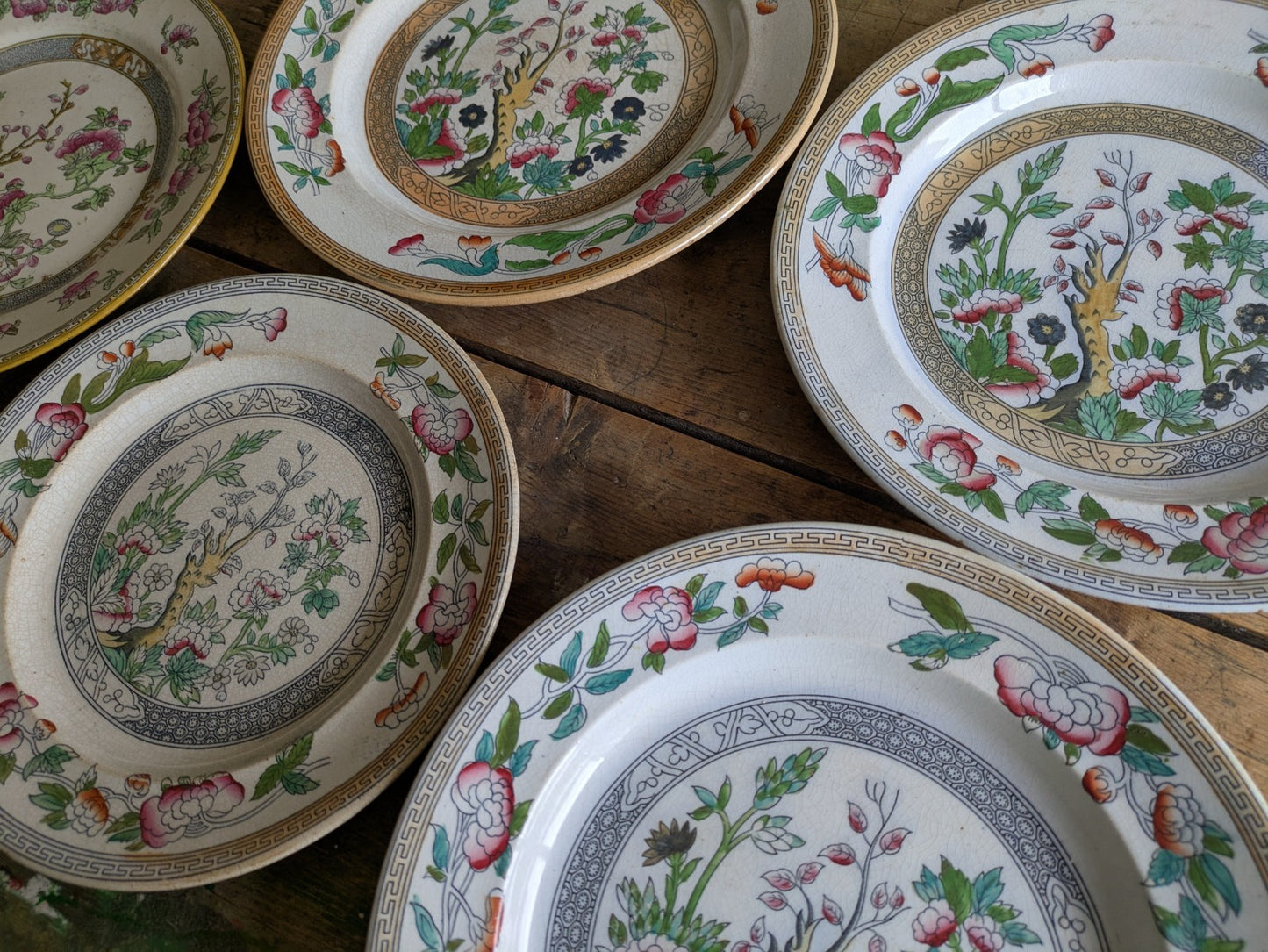 4 1860's Thomas Booth & Co Indian Tree Plates & 1x Wedgwood Plate Antique VTG 