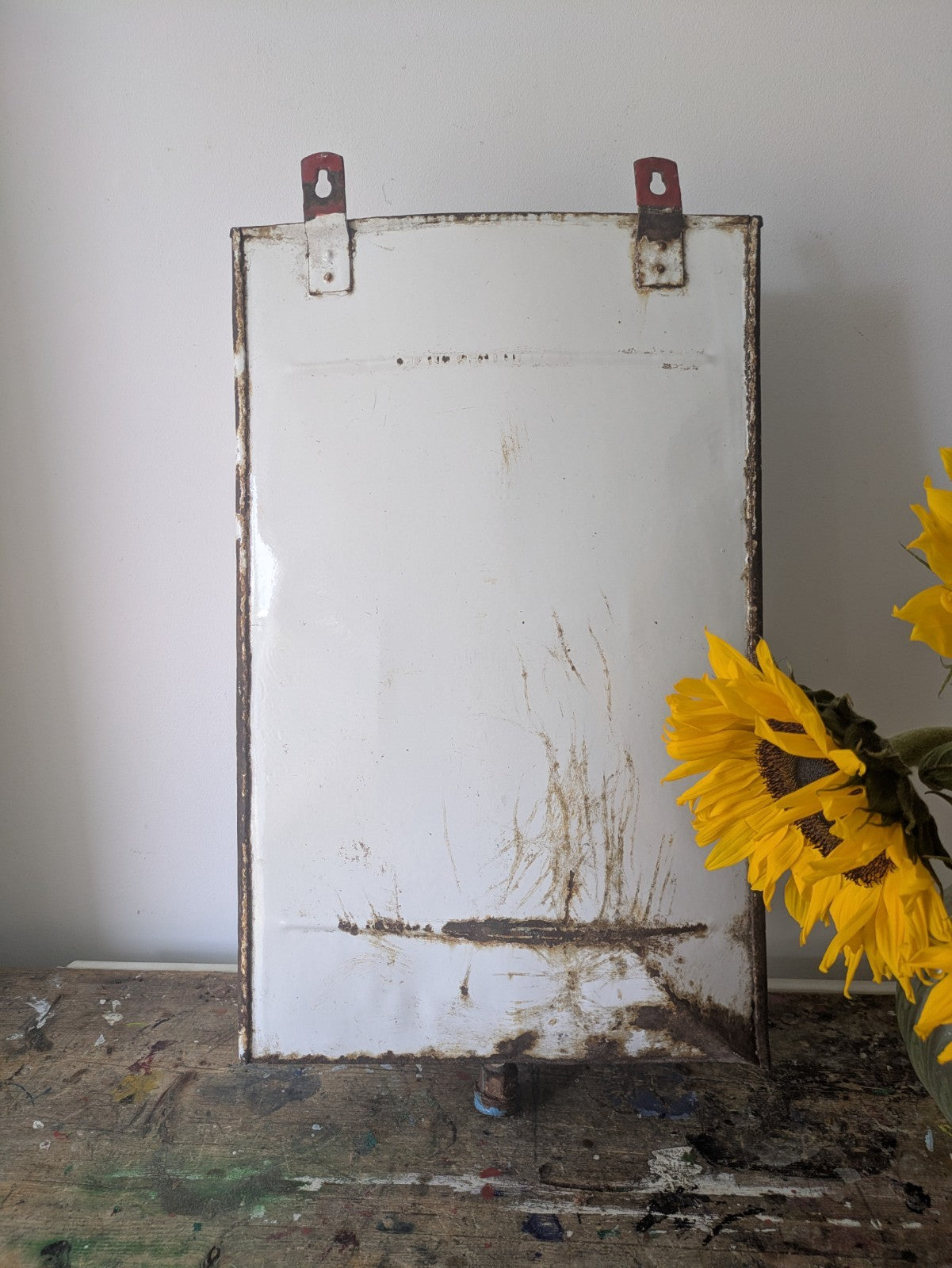 Vintage Iron Enamel Medicine Container Collectible Disinfectant Prop Bathroom