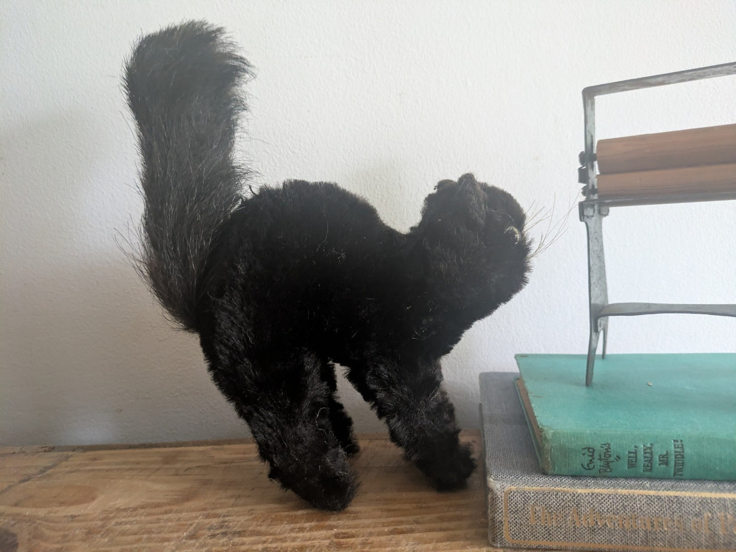 Vintage Steiff Scaredy Black Tom Cat Halloween Angry Mohair Kitten Farnell Back