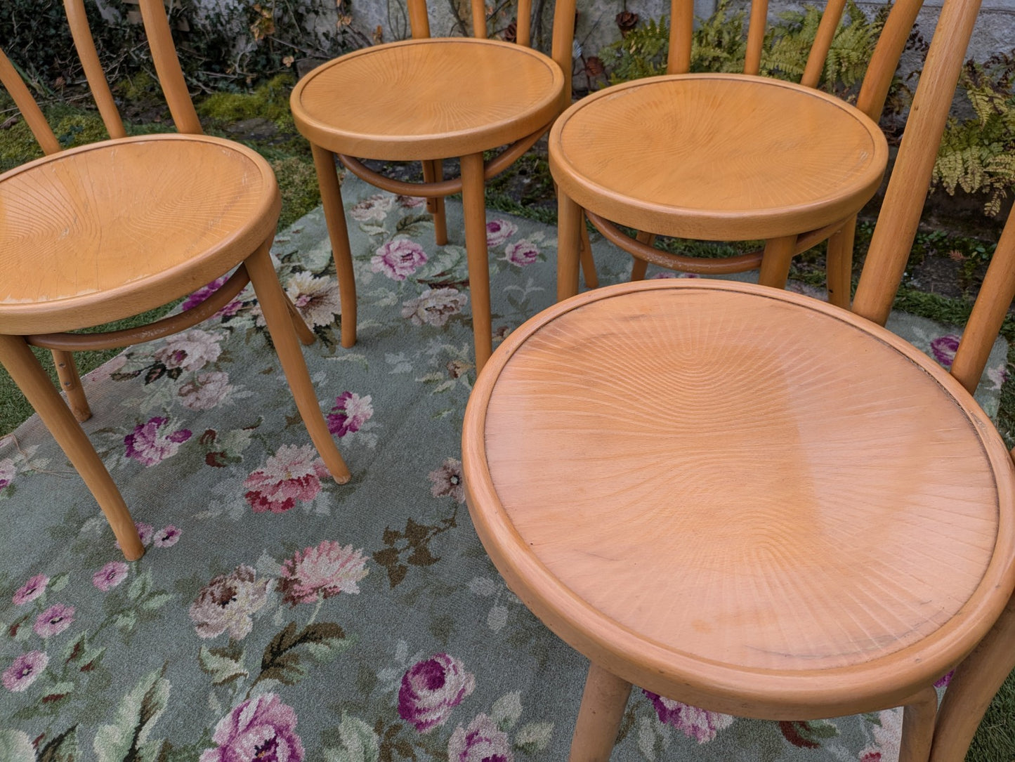 Set of 4 Vintage Fameg Radomsko Bentwood Chairs 1970s Polish Design Beech Wood