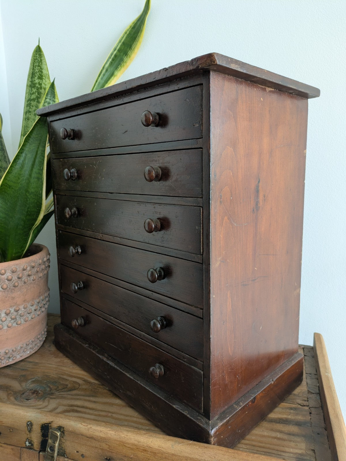 Antique 19th Century Specimen Display Cabinet Bank of Drawers Museum Display Vgc