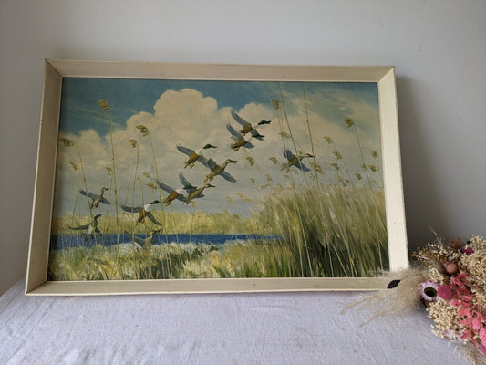 Peter Scott Vintage Framed Print Ducks Taking To Wing 1934 Old Picture Bird Lrg