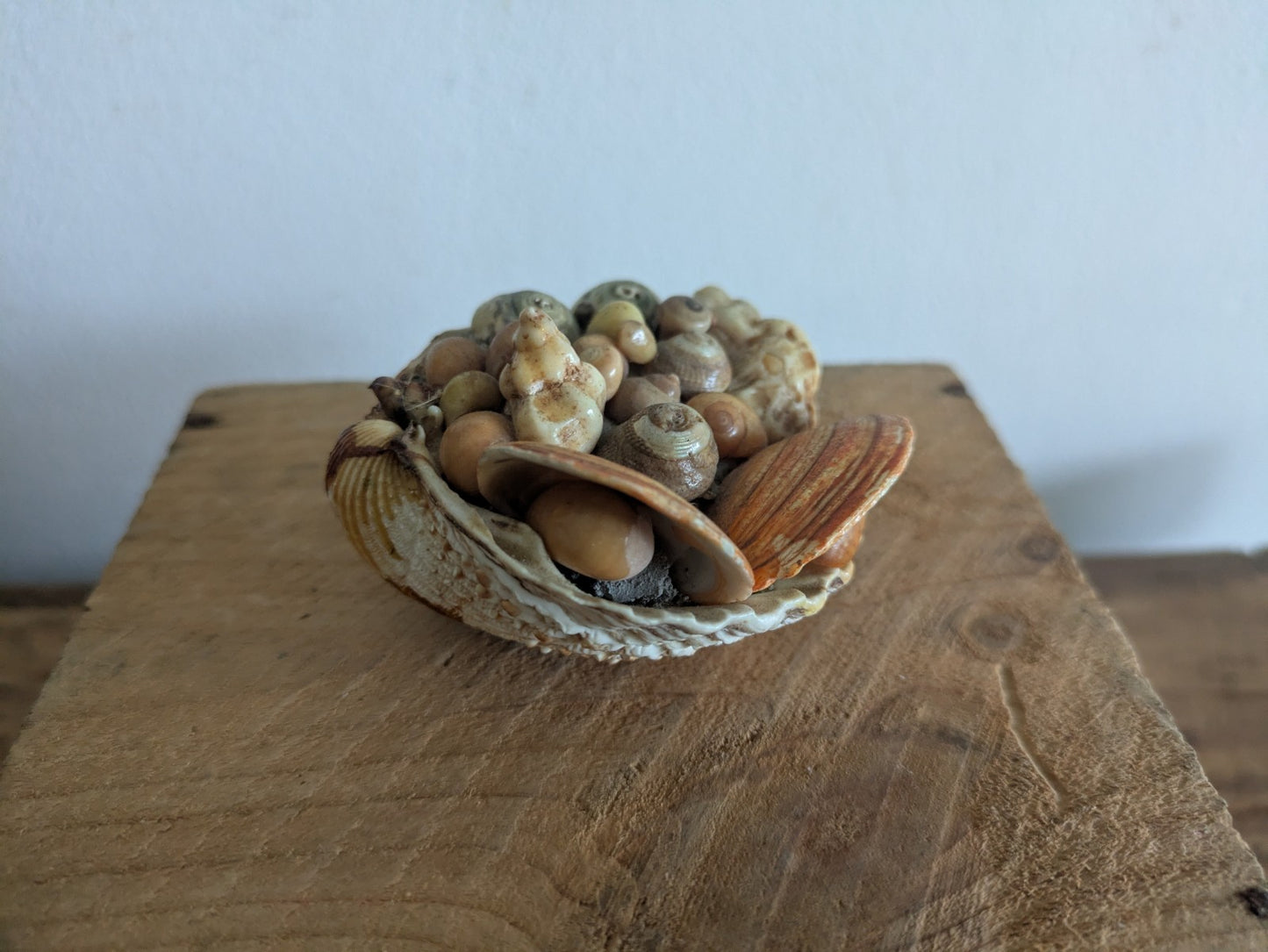 Mid Century Hand Crafted Sea Shell Folk Art Figurine Vintage Ornament Nautical 