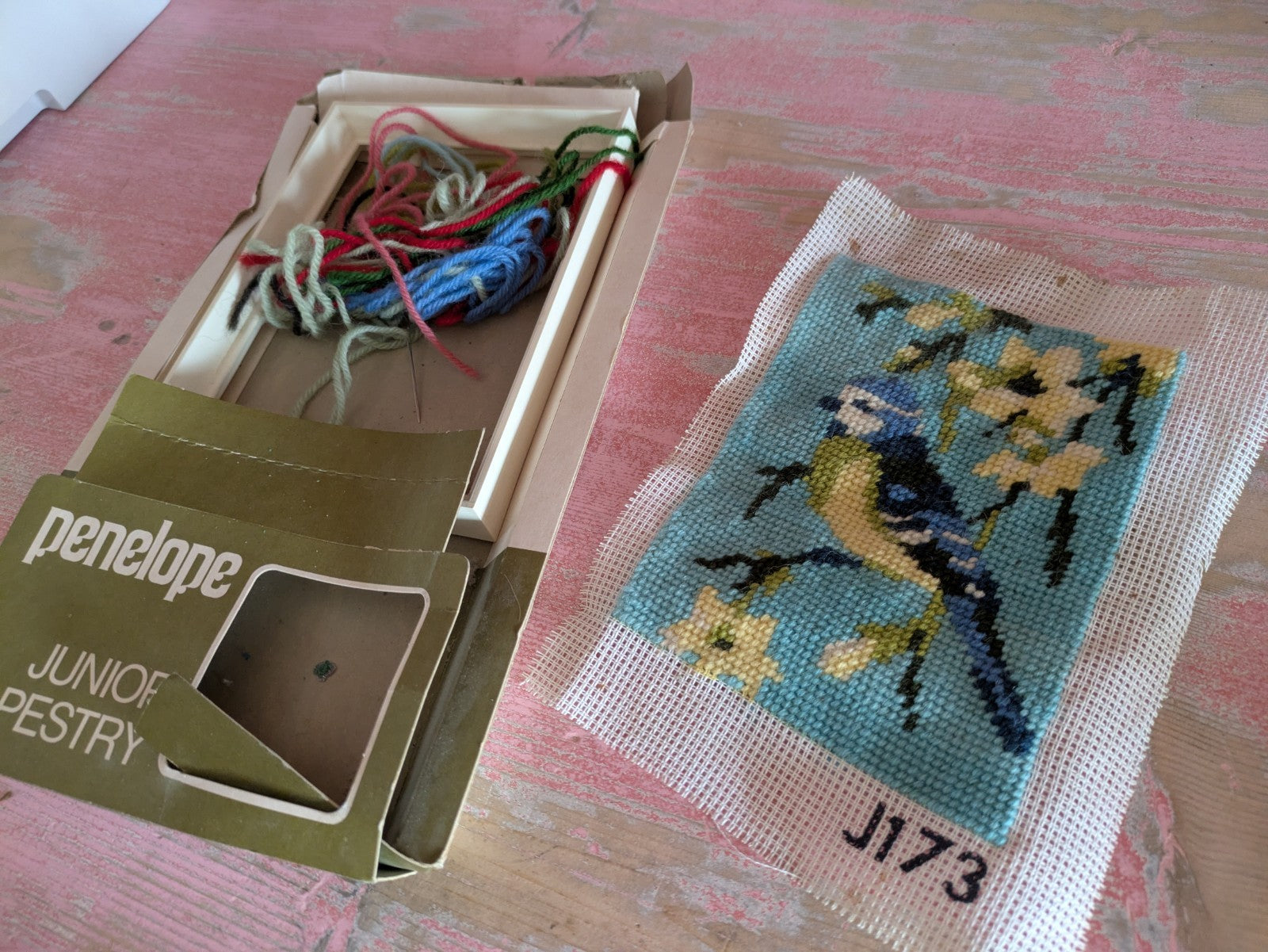 Penelope Blue Tit Bird on Branch Needlework Tapestry Kit Complete Panel Stitched