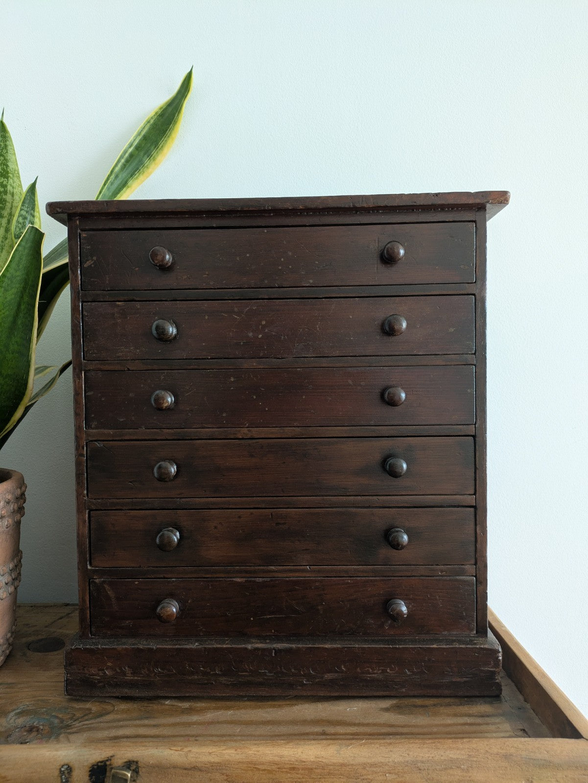 Antique 19th Century Specimen Display Cabinet Bank of Drawers Museum Display Vgc