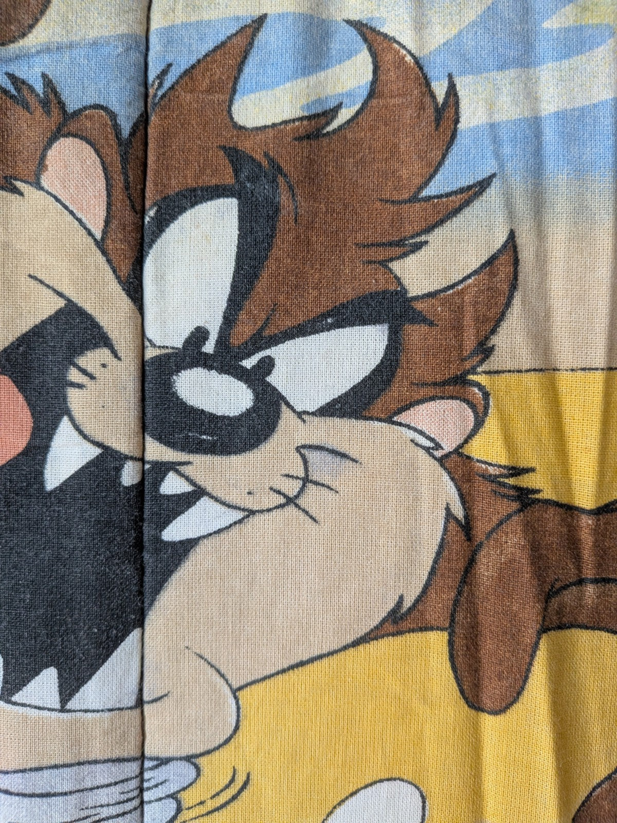 Child’s Looney Tunes Sleeping Bag Vintage Retro Taz Tweedy Pie Bugs Bunny Daffy