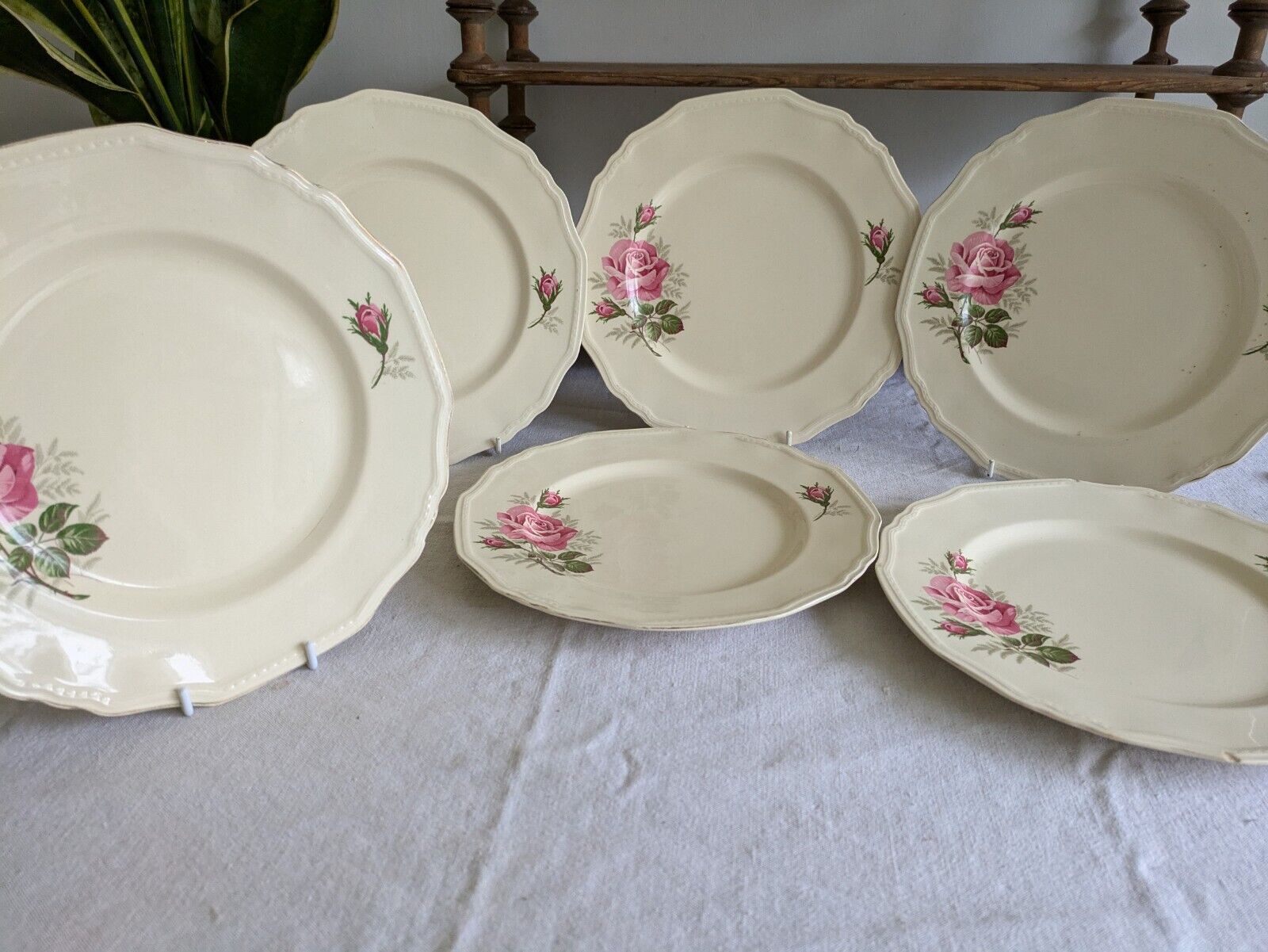 6x VINTAGE ALFRED MEAKIN SANDRINGHAM CABBAGE ROSE DINNER PLATE UP CREAM SHABBY 