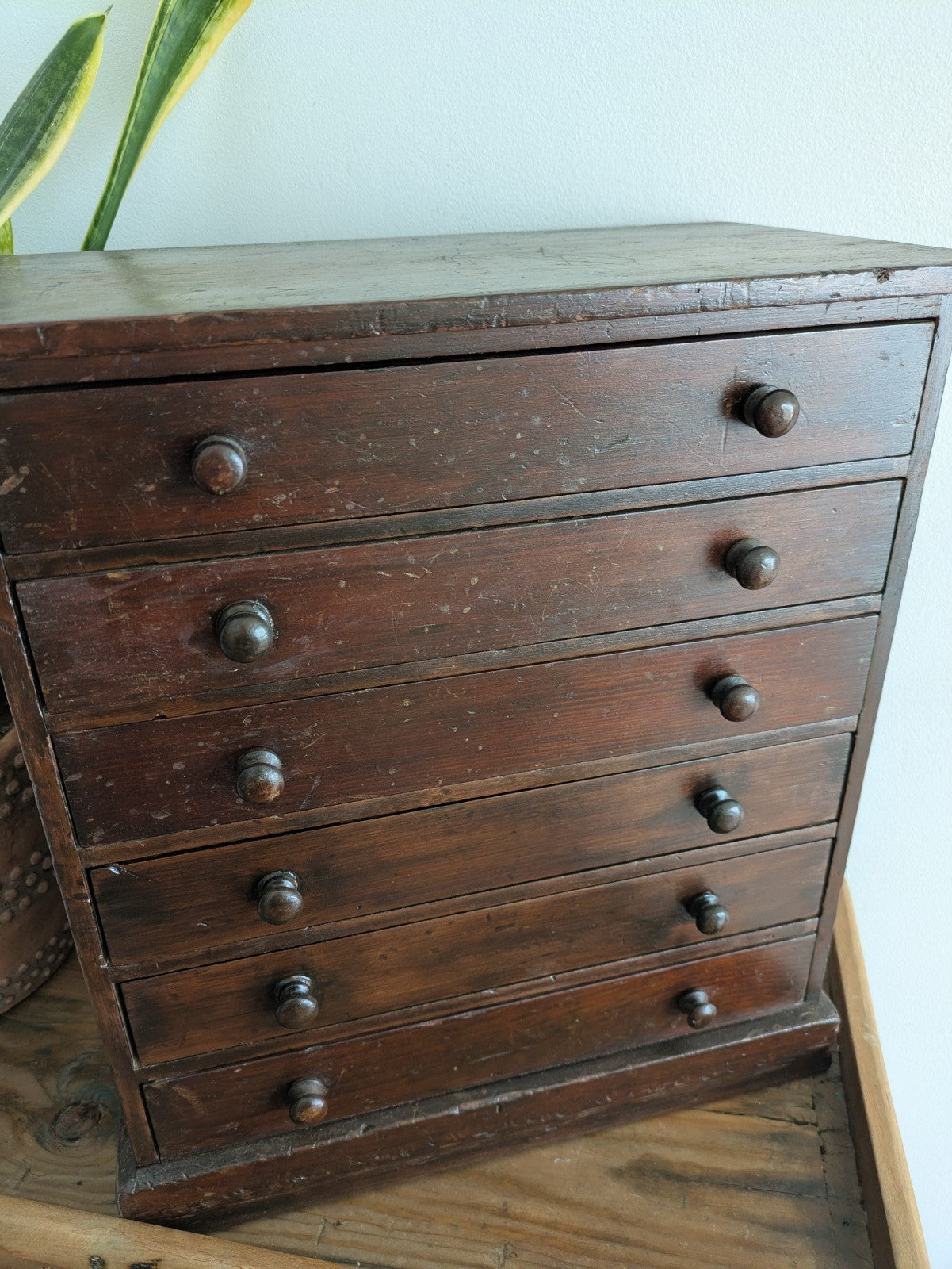 Antique 19th Century Specimen Display Cabinet Bank of Drawers Museum Display Vgc