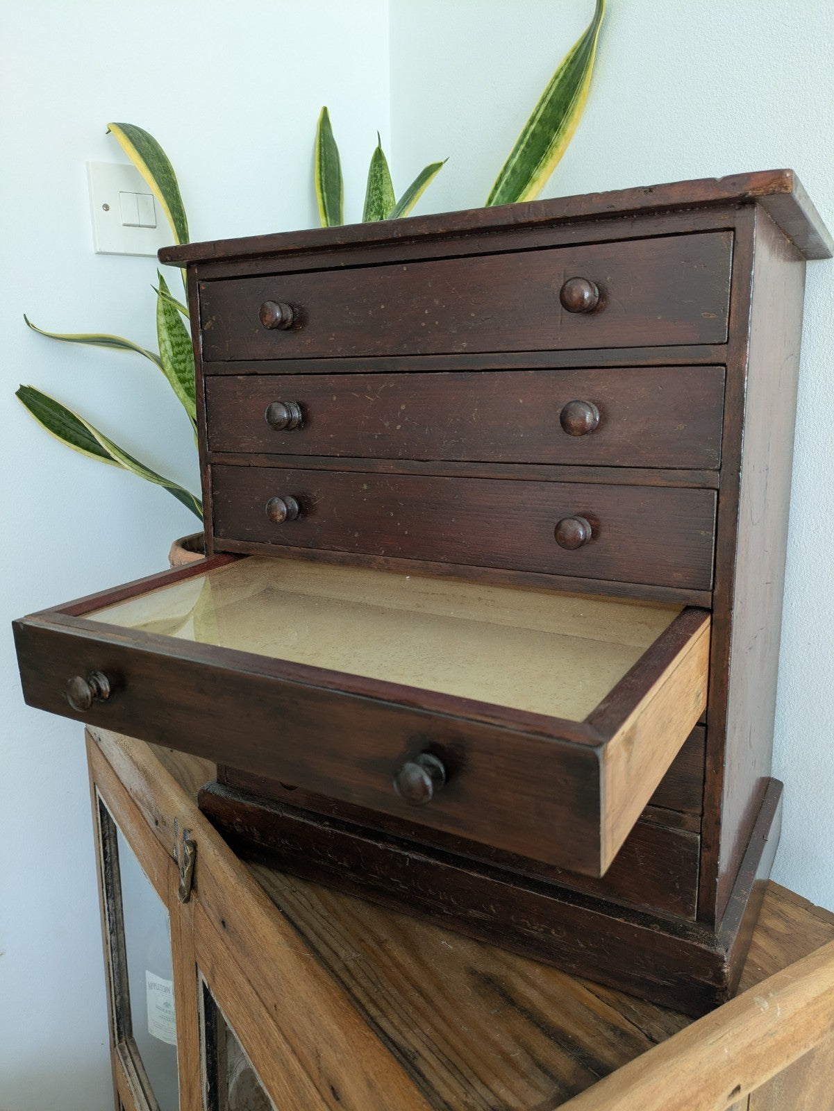 Antique 19th Century Specimen Display Cabinet Bank of Drawers Museum Display Vgc