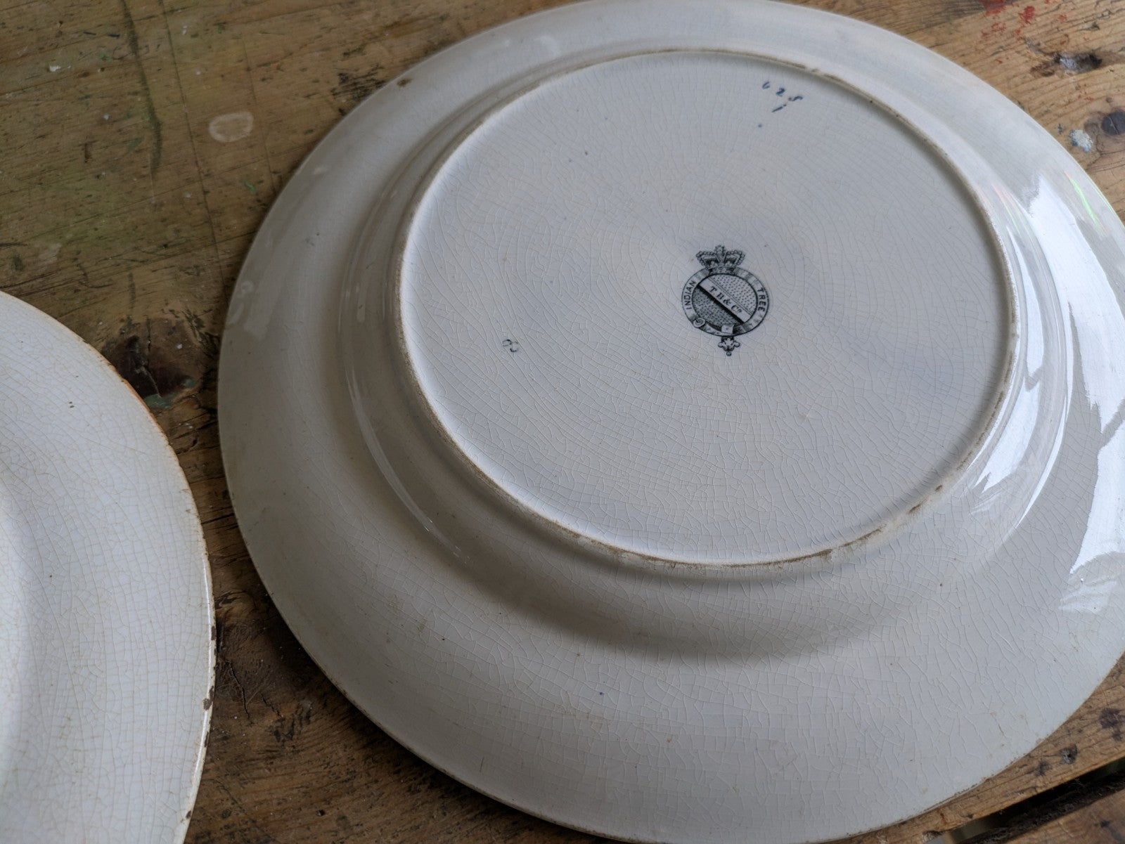 4 1860's Thomas Booth & Co Indian Tree Plates & 1x Wedgwood Plate Antique VTG 