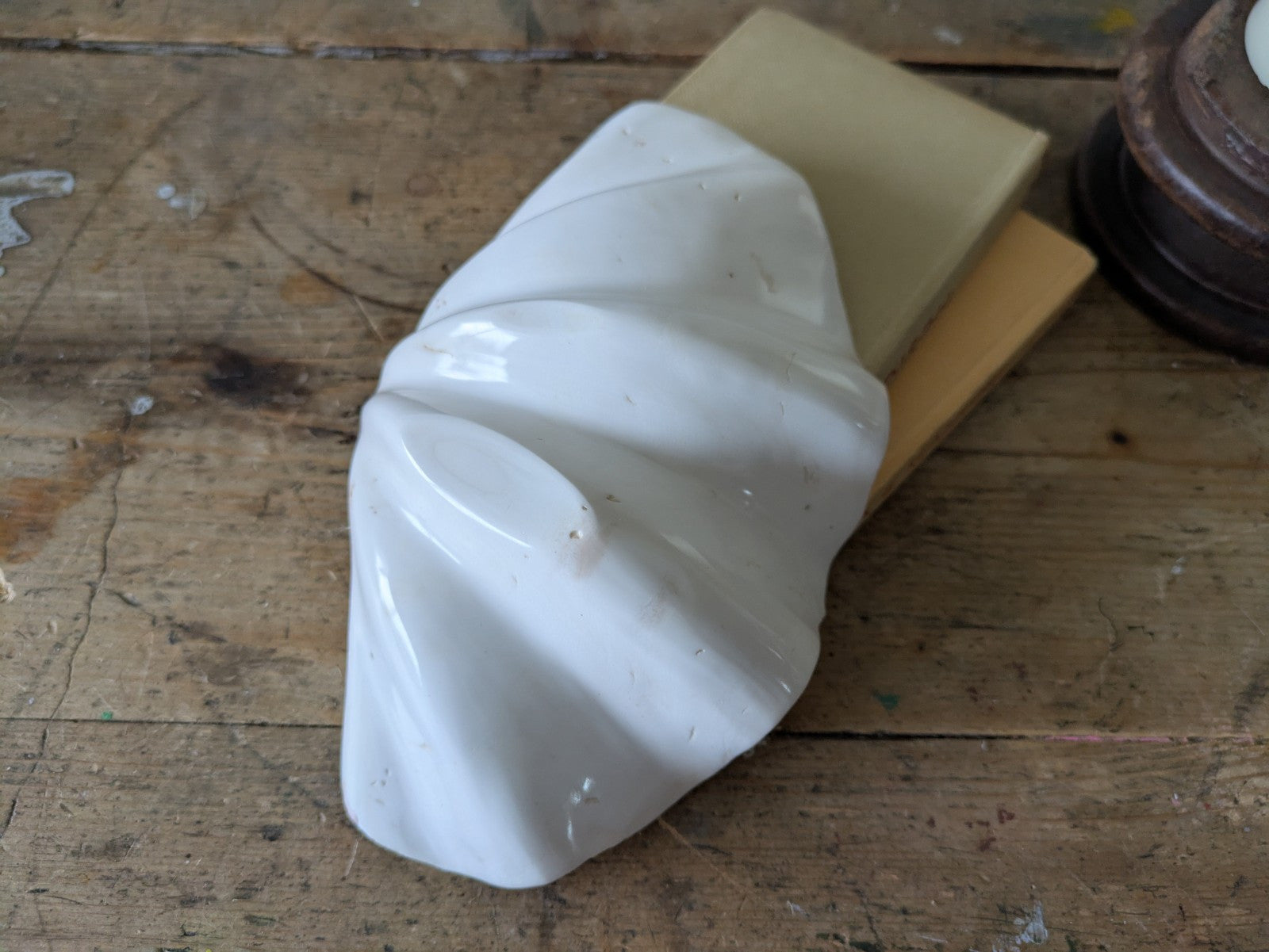1x Large Natural Seashell Conch Shell Bear Paw Clam Shell Beach Nautical White 